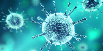Especialidade Médica - Infectologia